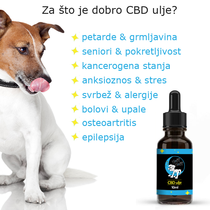 CBD ulje za pse