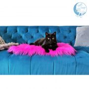 Luxury cat furniture